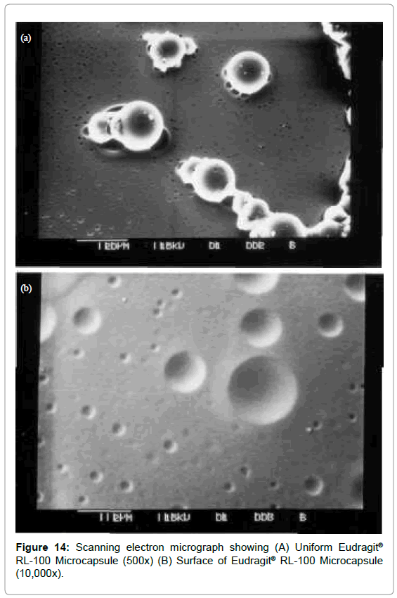 drug-development-research-Scanning-electron