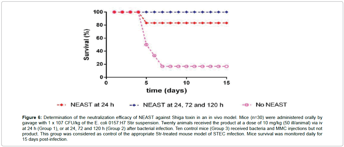 drug-development-research-Shiga-toxin