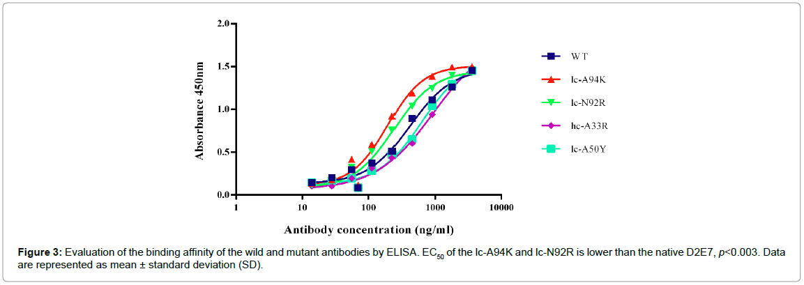 drug-development-research-binding-affinity