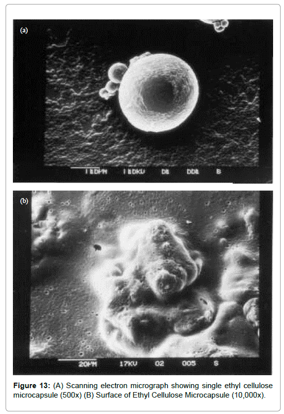 drug-development-research-electron-micrograph