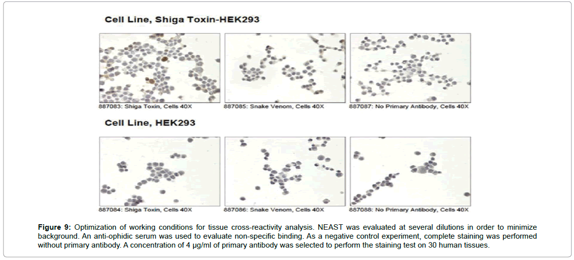 drug-development-research-human-tissues