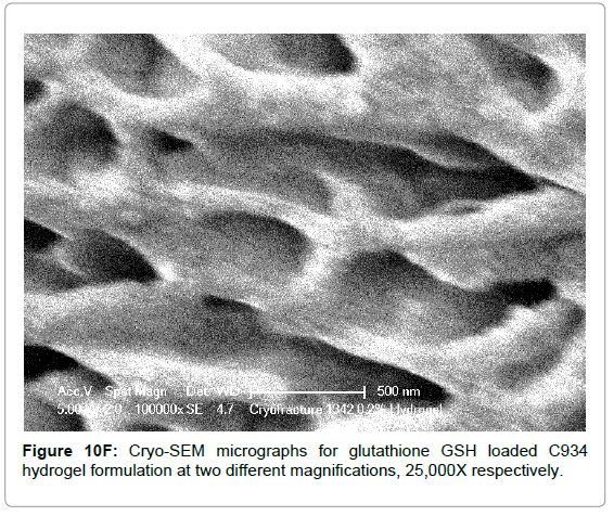 drug-development-research-hydrogel