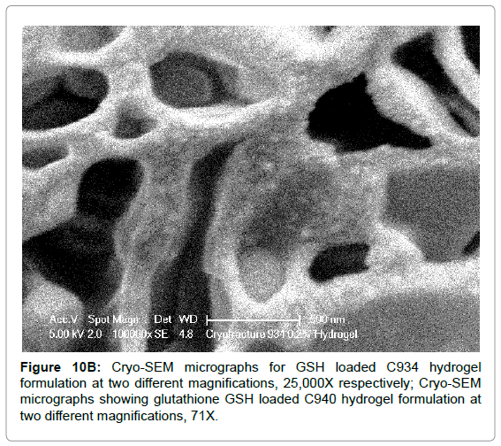 drug-development-research-magnifications