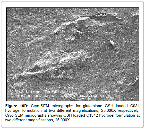 drug-development-research-micrographs