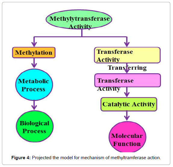 drug-development-research-model