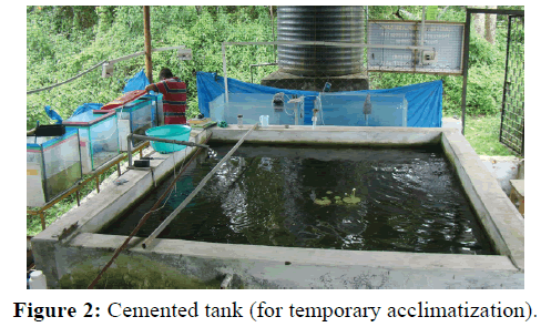 fisheriesscience-Cemented-tank