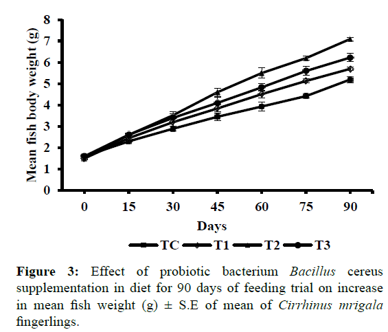 fisheriesscience-probiotic-bacterium