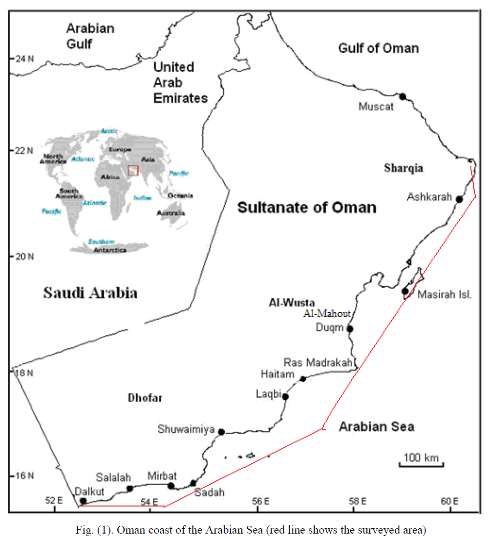 fisheriessciences-Arabian-Sea