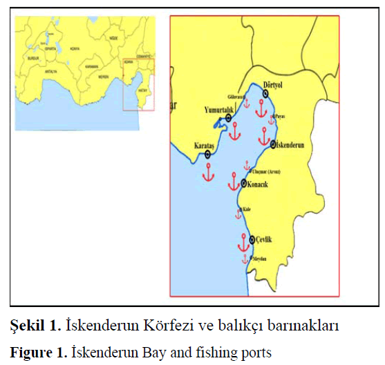 fisheriessciences-Bay-fishing-ports