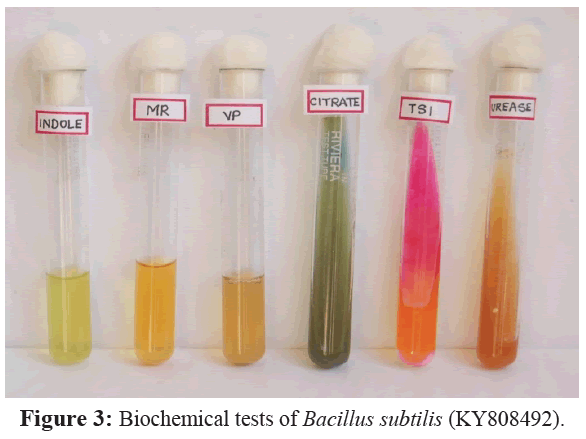 fisheriessciences-Biochemical-tests