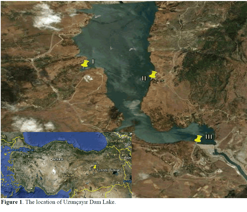 fisheriessciences-Dam-Lake