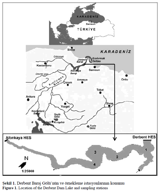 fisheriessciences-Derbent-Dam