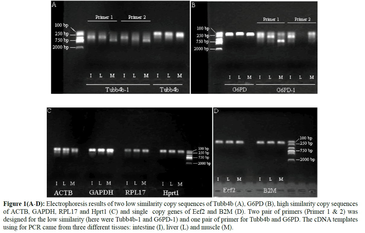 fisheriessciences-Electrophoresis-results