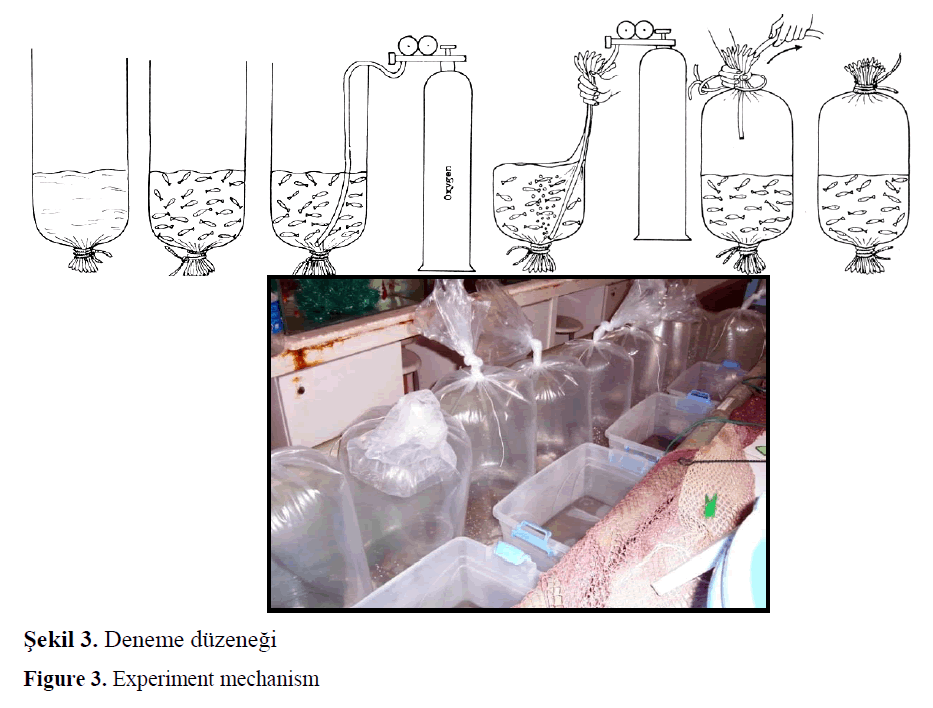 fisheriessciences-Experiment-mechanism