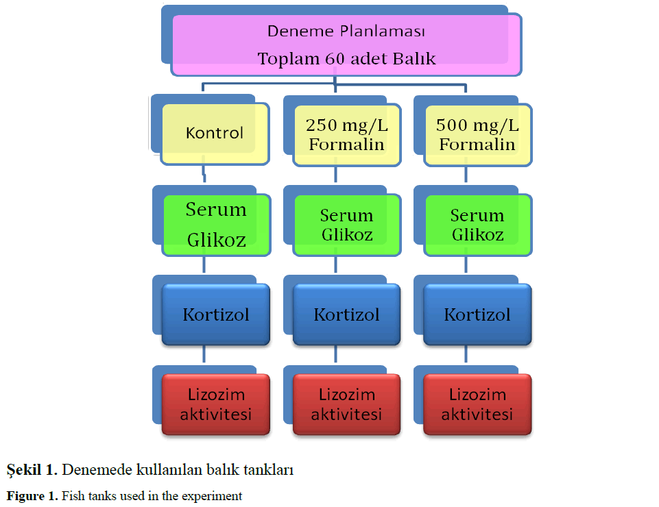 fisheriessciences-Fish-tanks