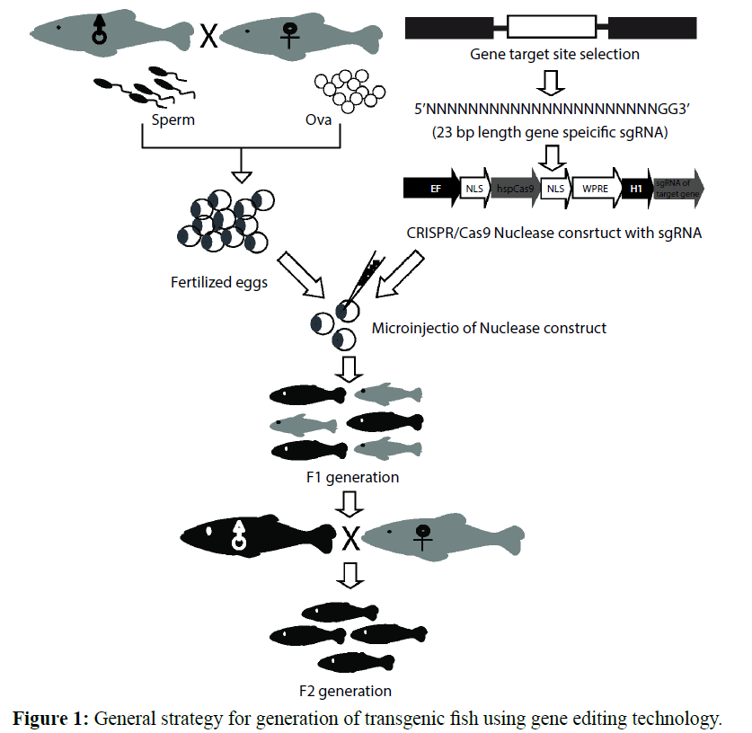 fisheriessciences-General-strategy