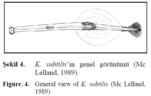 fisheriessciences-General-view