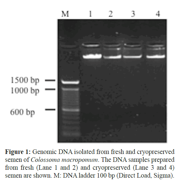 fisheriessciences-Genomic-DNA-isolated