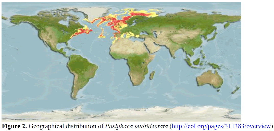 fisheriessciences-Geographical-distribution