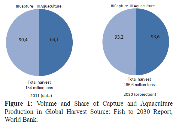 fisheriessciences-Global-Harvest