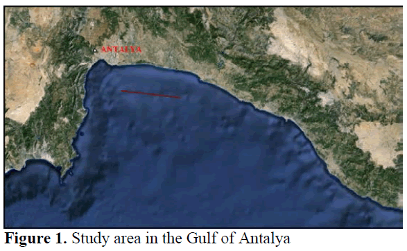 fisheriessciences-Gulf-Antalya