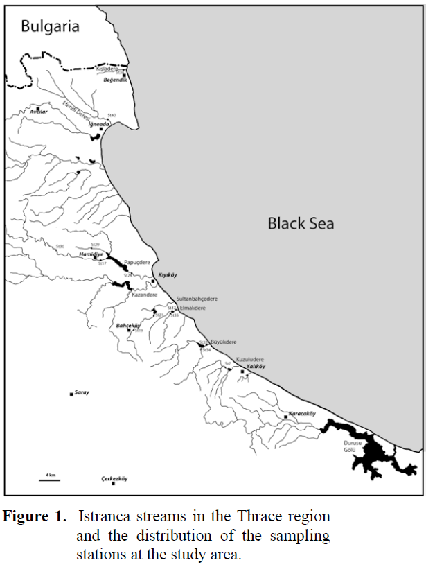 fisheriessciences-Istranca-streams