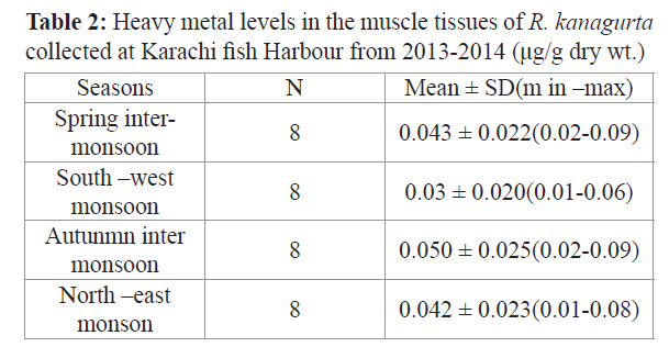 fisheriessciences-Karachi-fish-Harbour