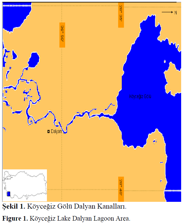 fisheriessciences-Lake-Dalyan-Lagoon
