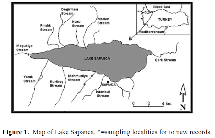 fisheriessciences-Lake-Sapanca