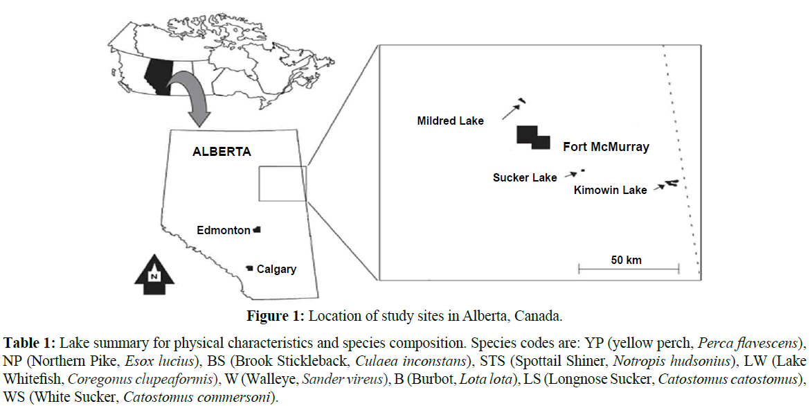 fisheriessciences-Lake-summary