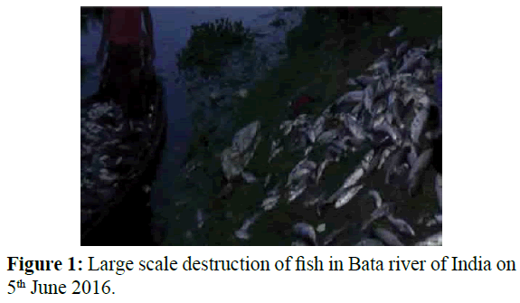 fisheriessciences-Large-scale-destruction