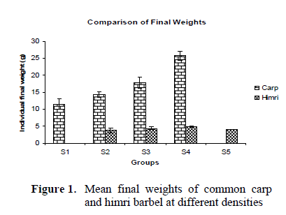 fisheriessciences-Mean-final-weights
