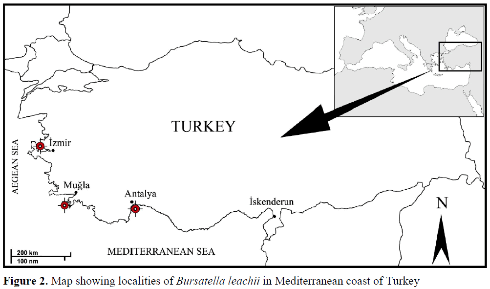 fisheriessciences-Mediterranean-coast