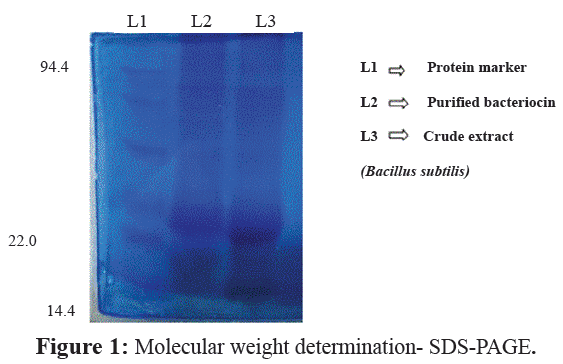 fisheriessciences-Molecular-weight