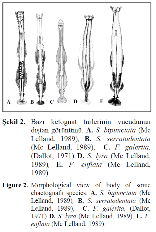 fisheriessciences-Morphological