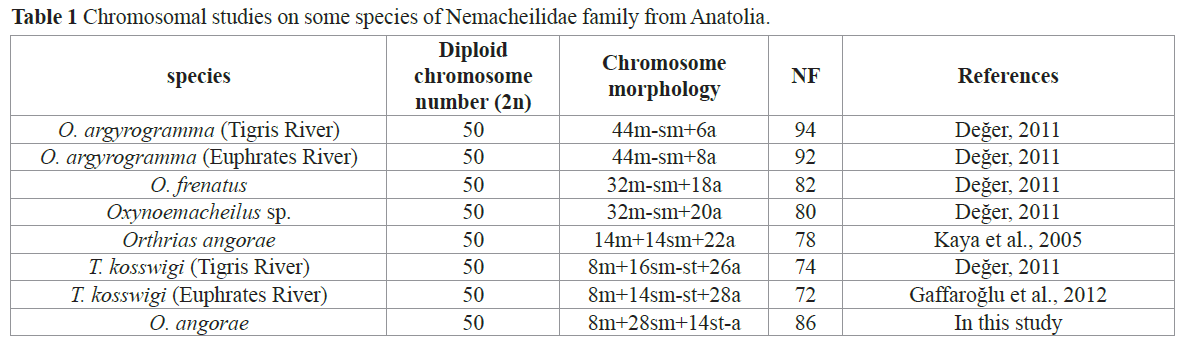 fisheriessciences-Nemacheilidae