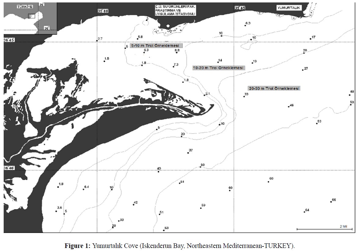 fisheriessciences-Northeastern-Mediterranean