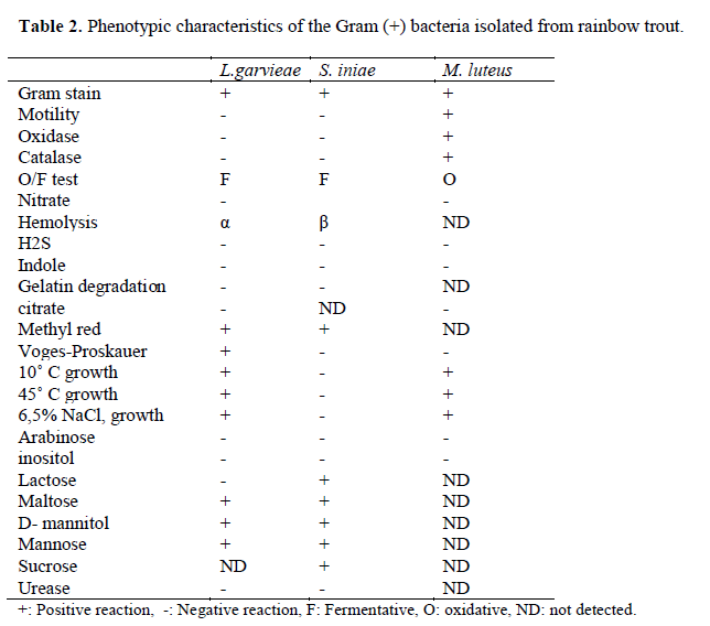 fisheriessciences-Phenotypic-characteristics