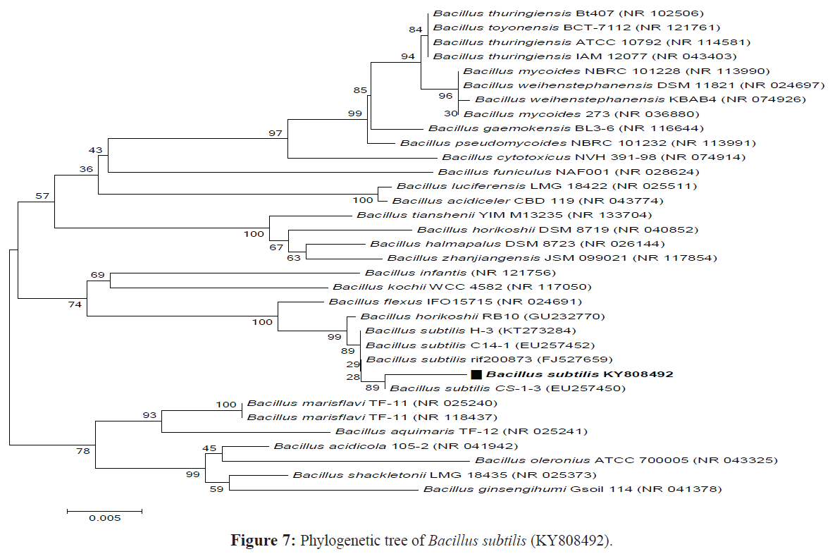 fisheriessciences-Phylogenetic-tree