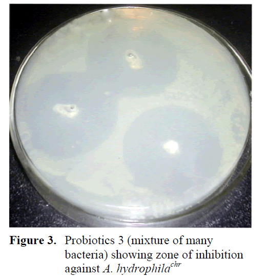 fisheriessciences-Probiotics-bacteria