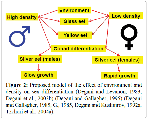 fisheriessciences-Proposed-model