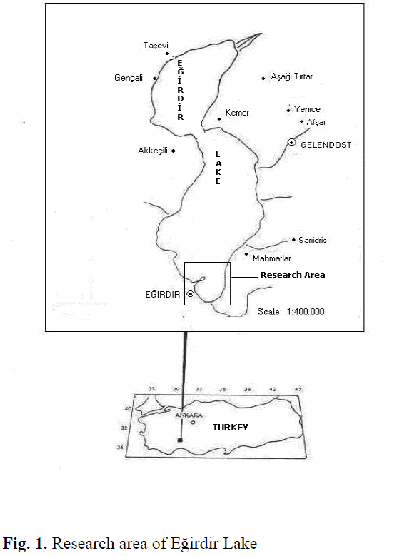 fisheriessciences-Research-area