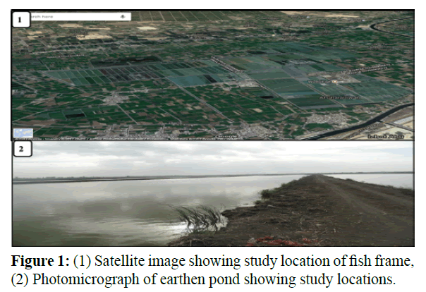 fisheriessciences-Satellite-image