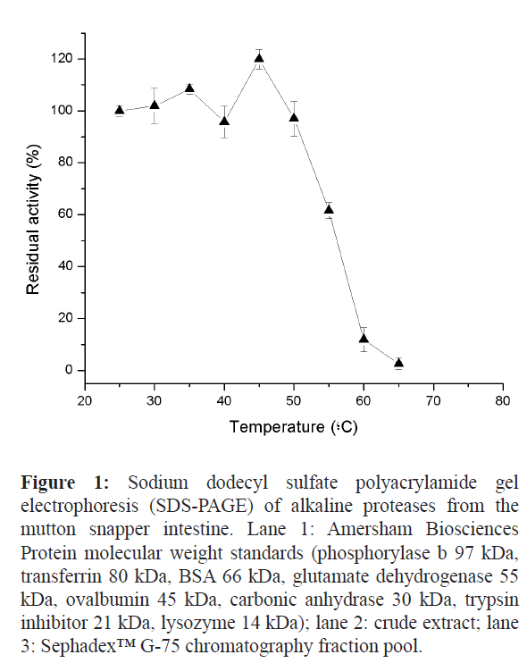 fisheriessciences-Sodium-dodecyl-sulfate