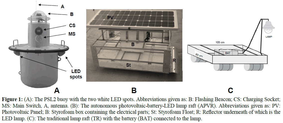 fisheriessciences-Styrofoam-box