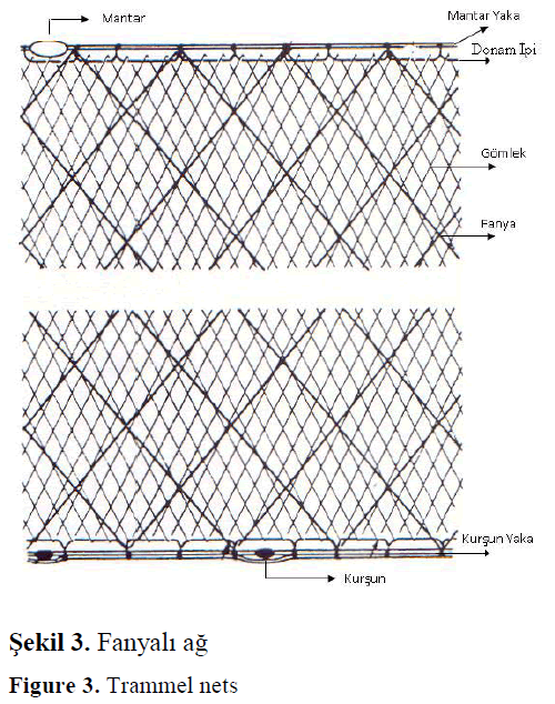 Selectivity of trammel nets used for common dentex (Dentex dentex