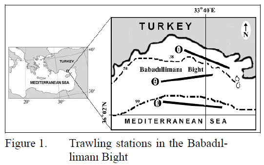 fisheriessciences-Trawling-stations