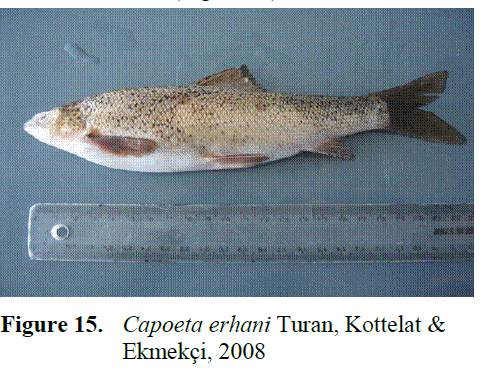 fisheriessciences-Turan