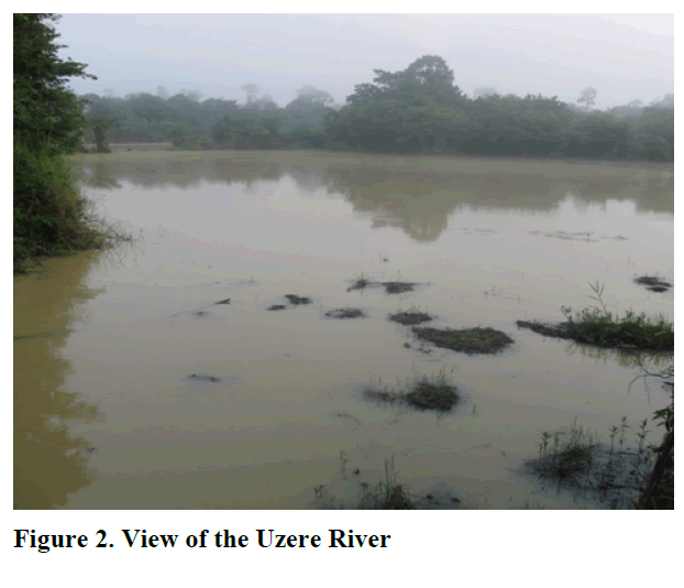 fisheriessciences-Uzere-River