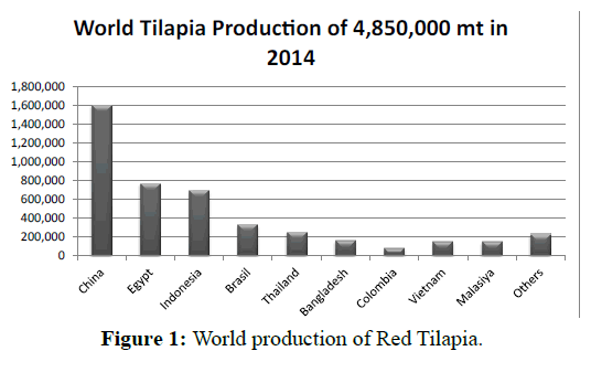 fisheriessciences-World-production